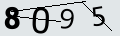 verifycode
